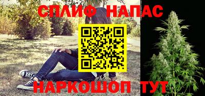 МДПВ Новокубанск