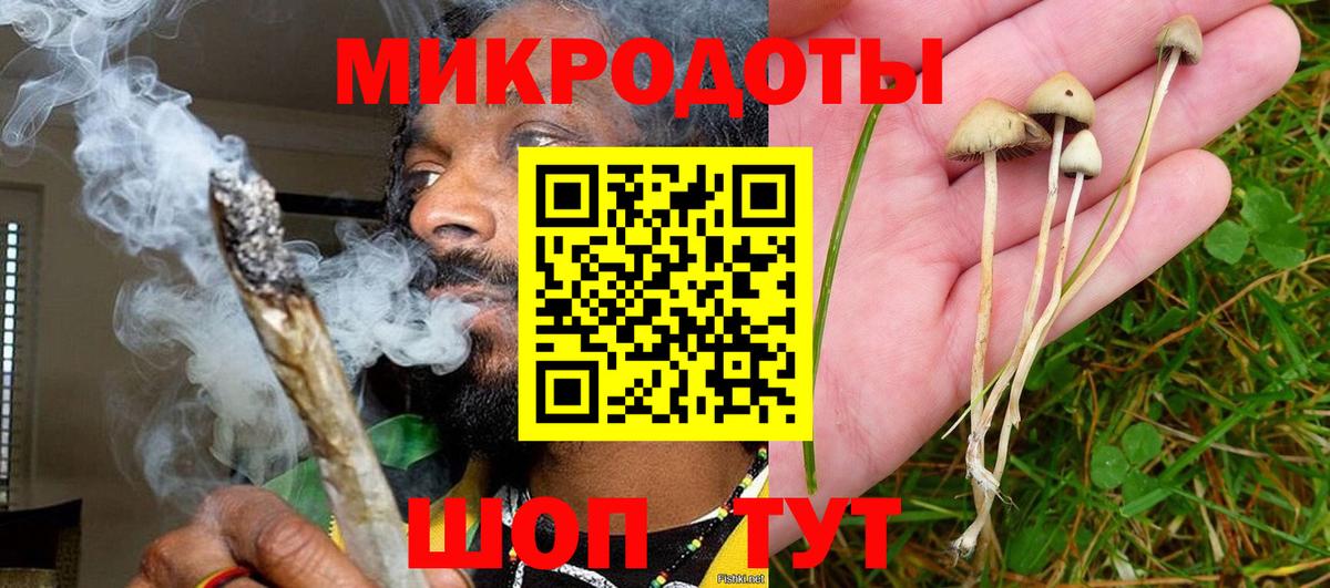 Псилоцибиновые грибы Psilocybine cubensis Чапаевск