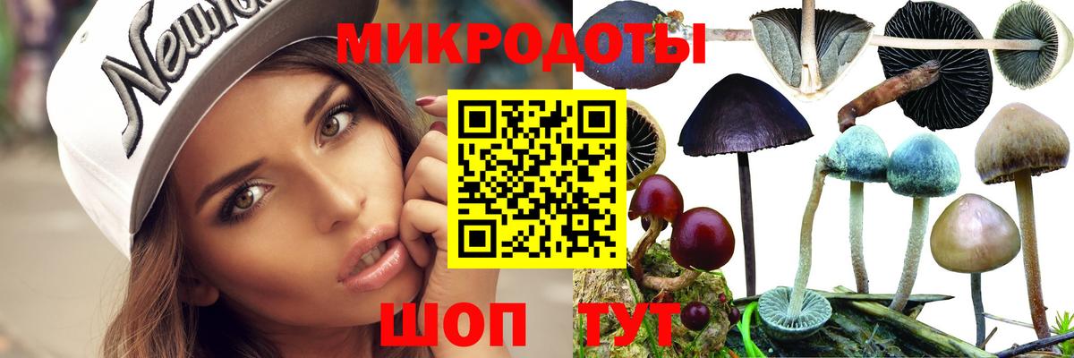 Галлюциногенные грибы MAGIC MUSHROOMS  Вход с VPN  наркошоп  Чапаевск  Псилоцибиновые грибы ЛСД 